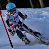 2019 » SKIBOB LM 2019